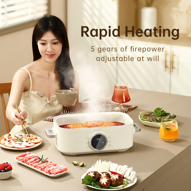 Vaporizador elétrico de alimen - Home Cooking Restaurant avaliação e preço